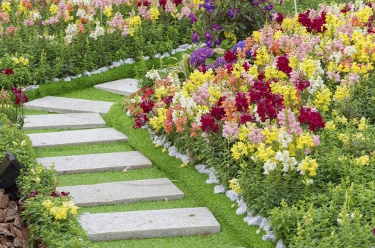 9 Awesome Garden Tips